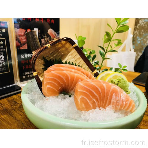 Machine à glace commerciale de haute qualité pour la nourriture pour poissons